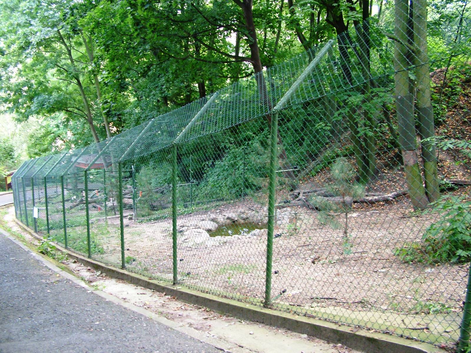 Wolverine Enclosure at Usti, 29/08/12