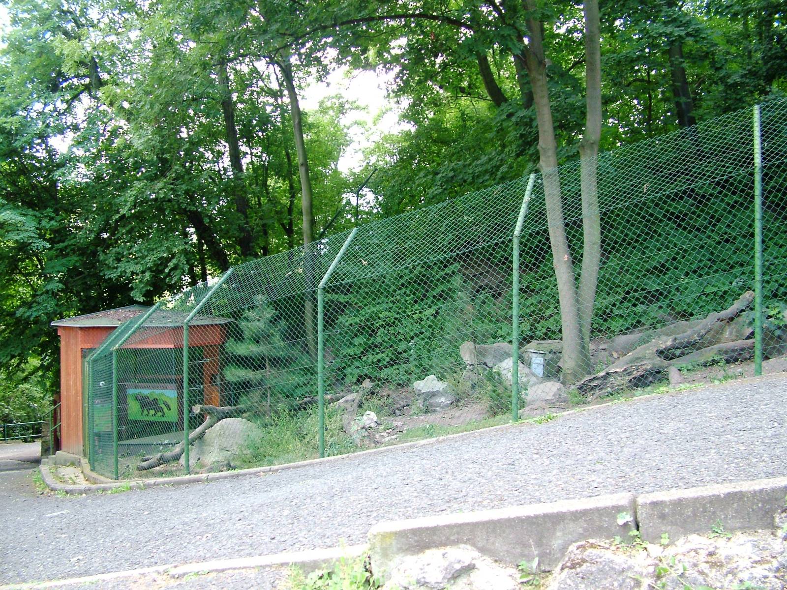 Wolverine Enclosure at Usti, 29/08/12