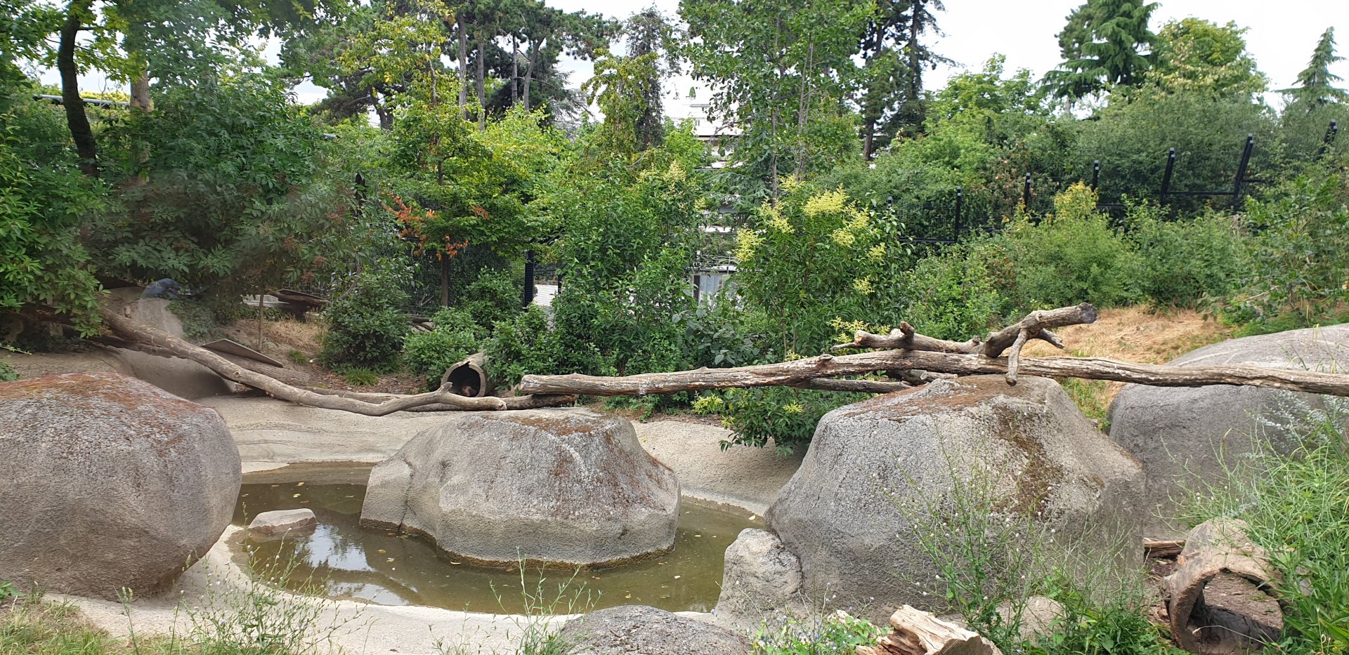 Wolverine enclosure