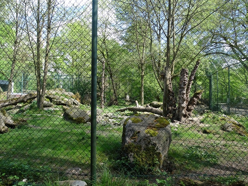 Wolverine enclosure