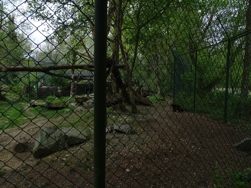Wolverine enclosure