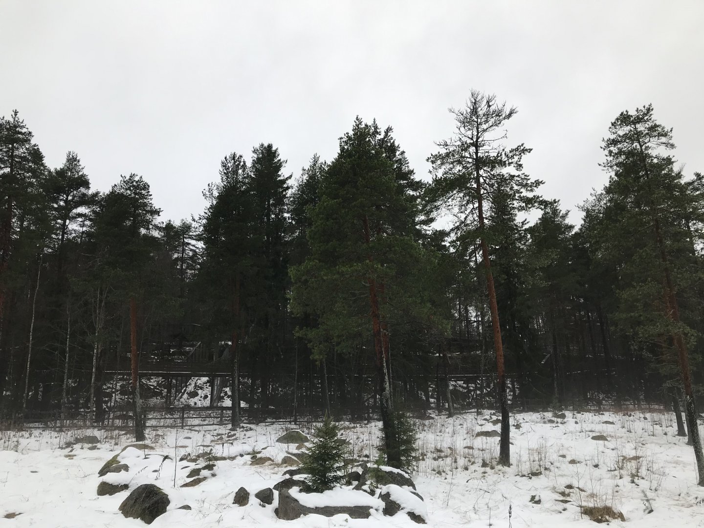 Wolverine enclosures from distance