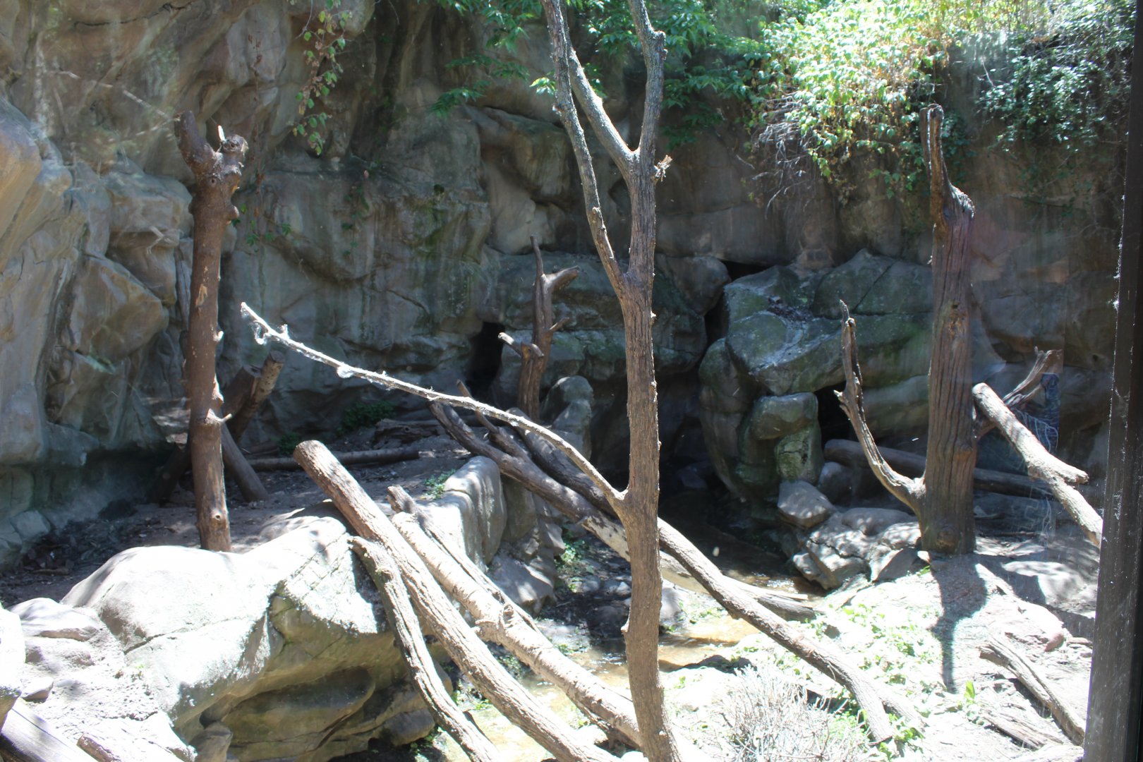 Wolverine Exhibit #1 - Minnesota Trail