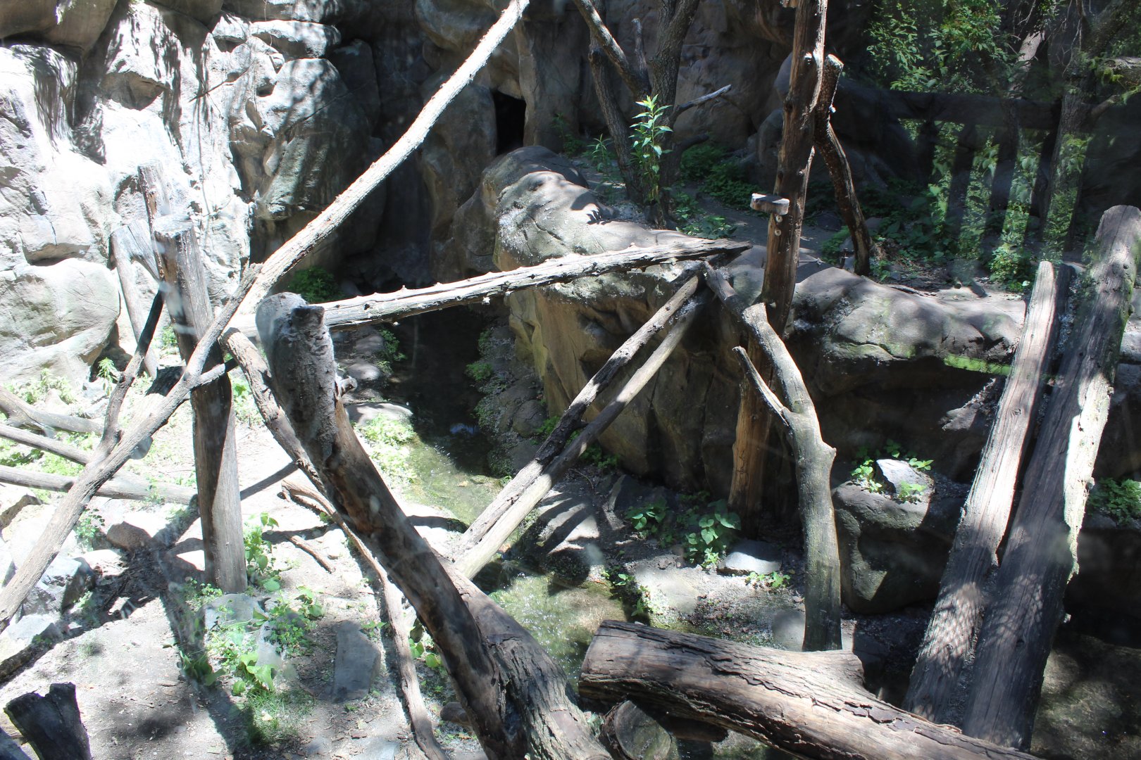 Wolverine Exhibit #2 - Minnesota Trail