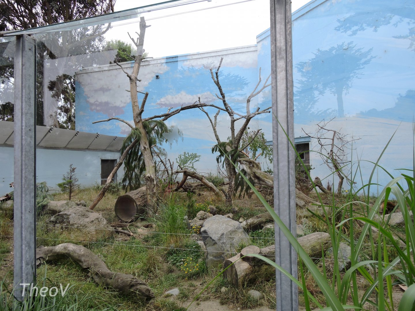 Wolverine exhibit [2015]