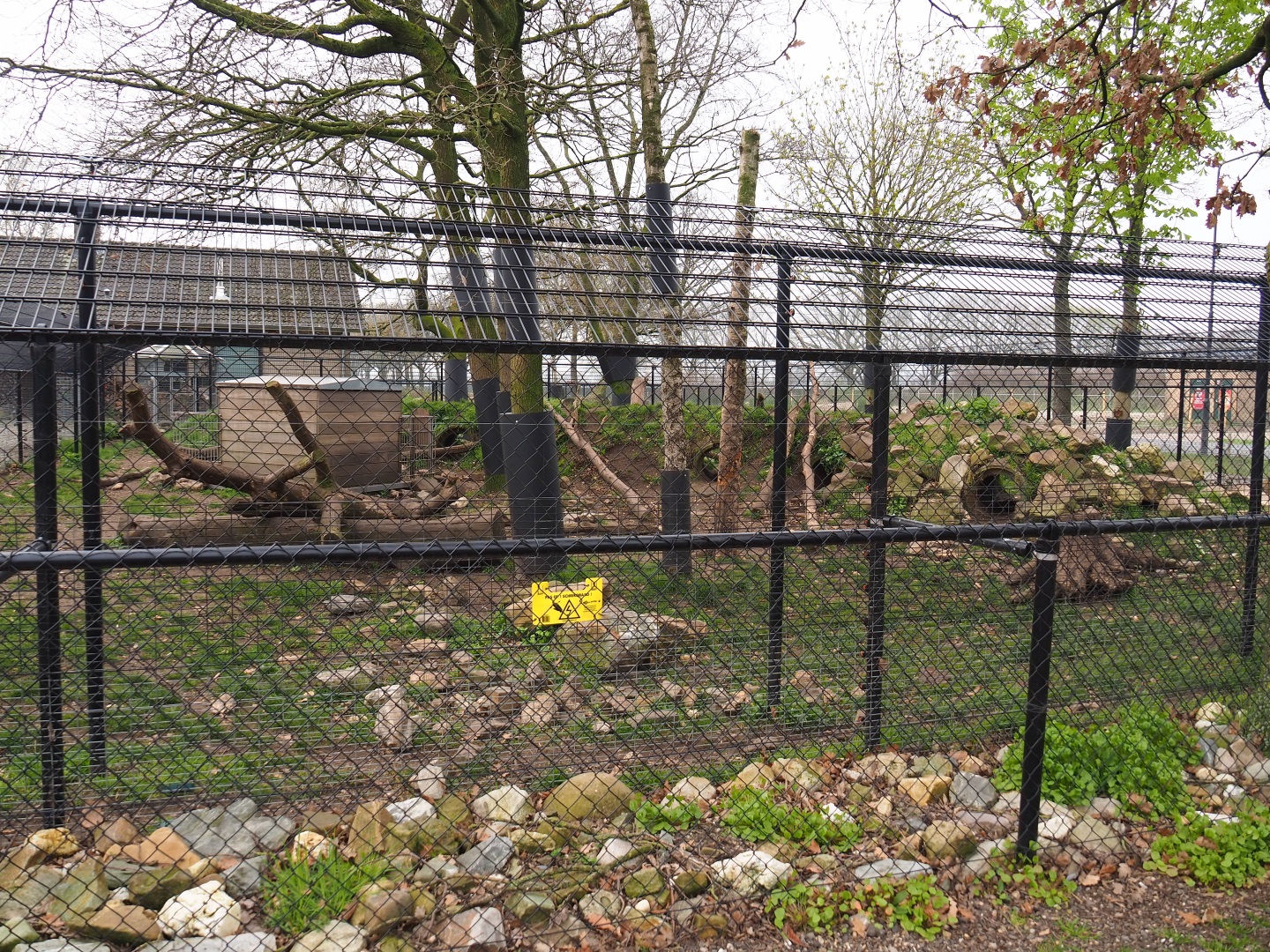 Wolverine exhibit, 2019-04-06