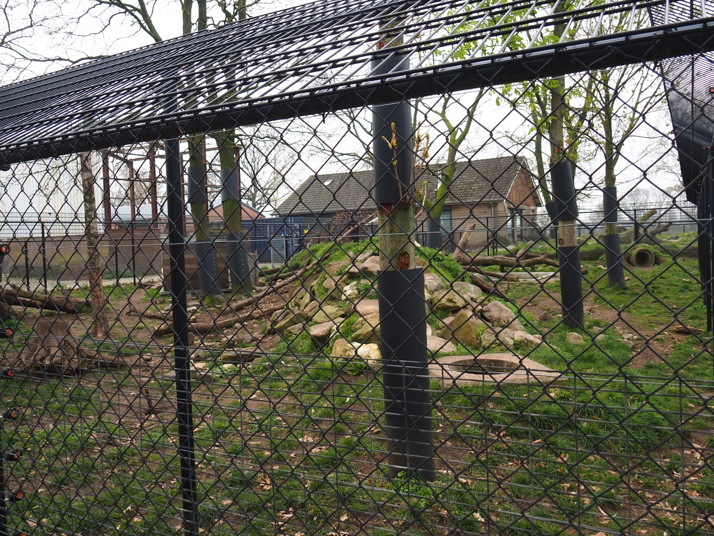 Wolverine exhibit, 2019-04-06