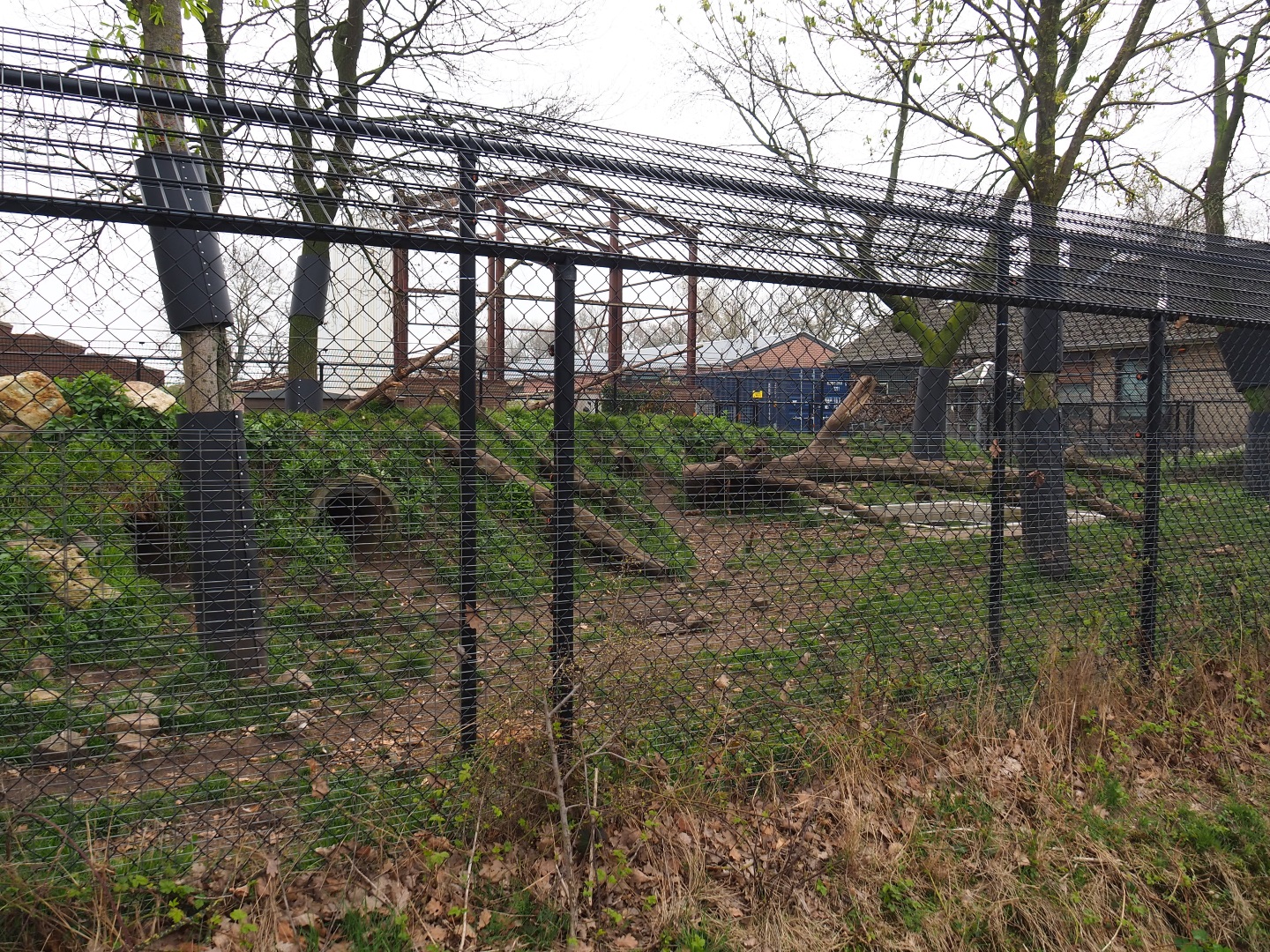 Wolverine exhibit, 2019-04-06