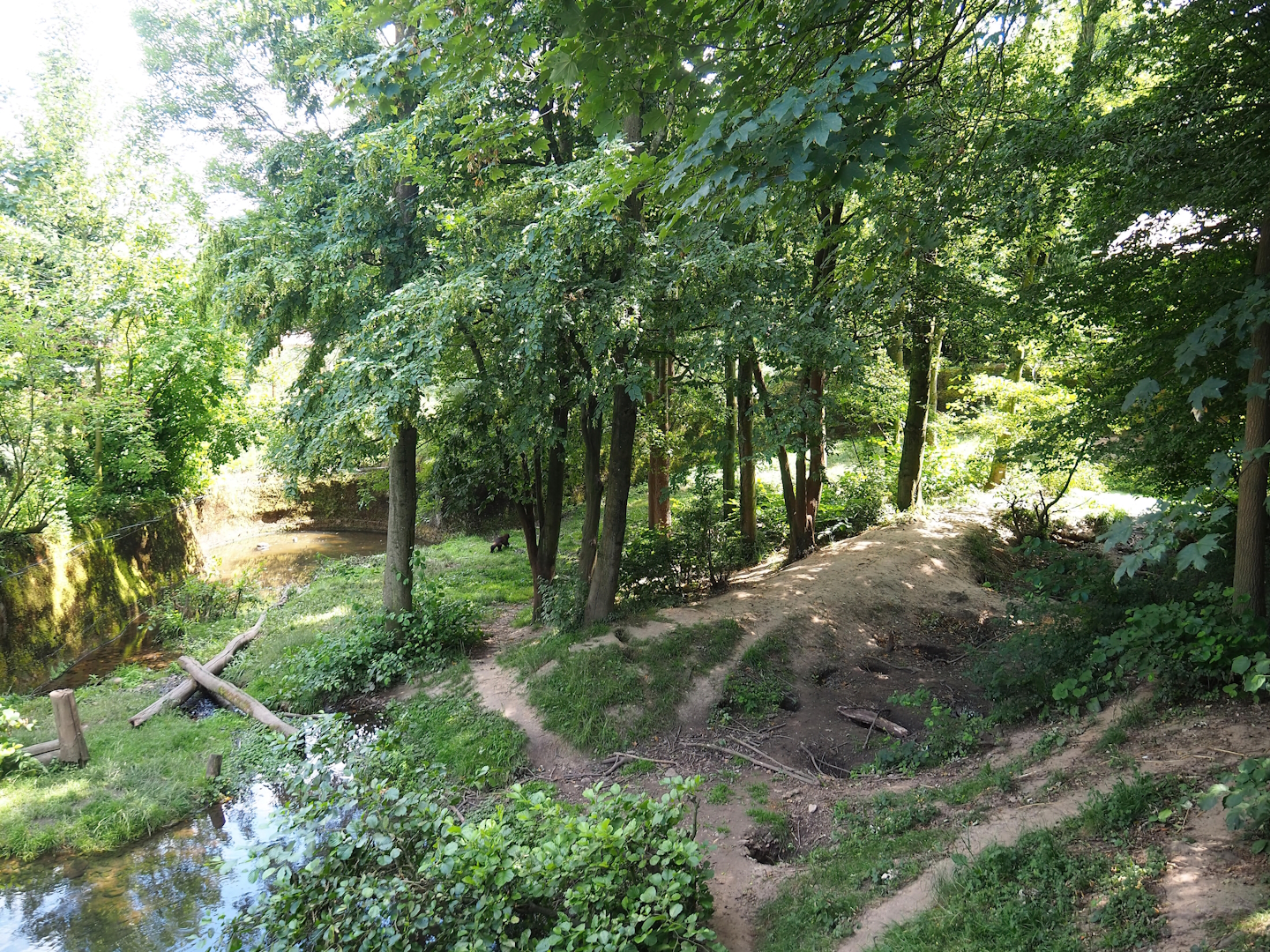 Wolverine exhibit, 2023-07-18