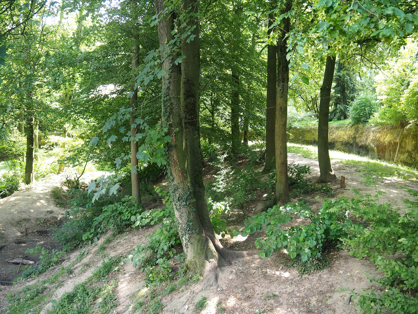 Wolverine exhibit, 2023-07-18