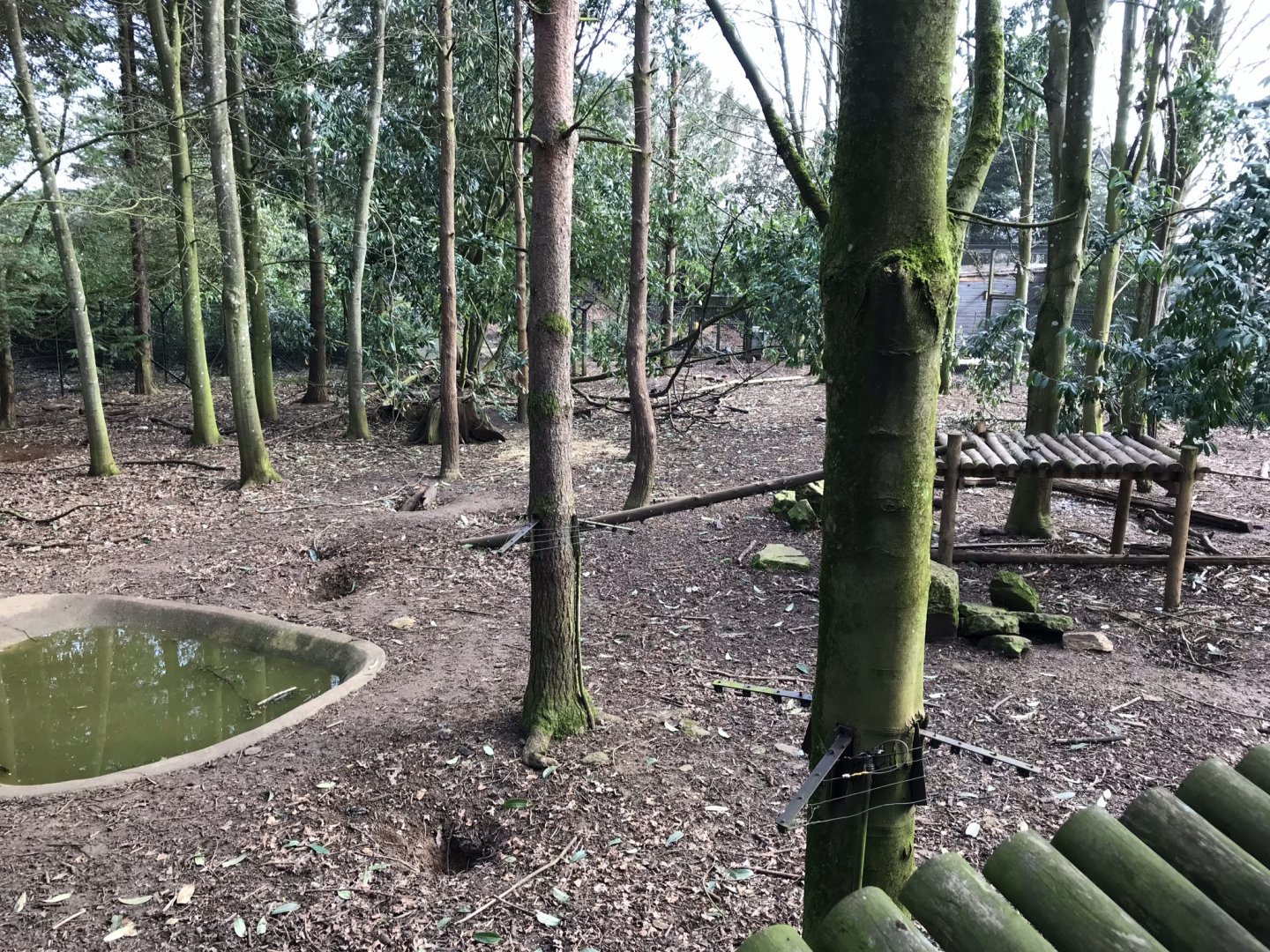 Wolverine exhibit 250318