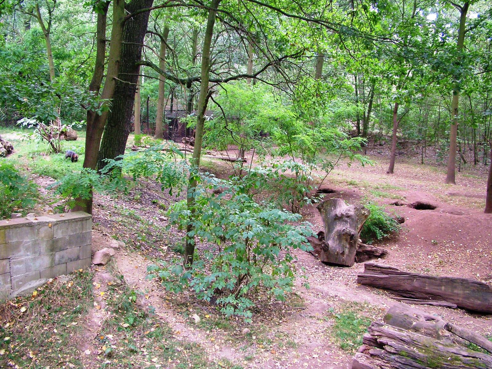 Wolverine Exhibit at Chomutov, 30/08/12