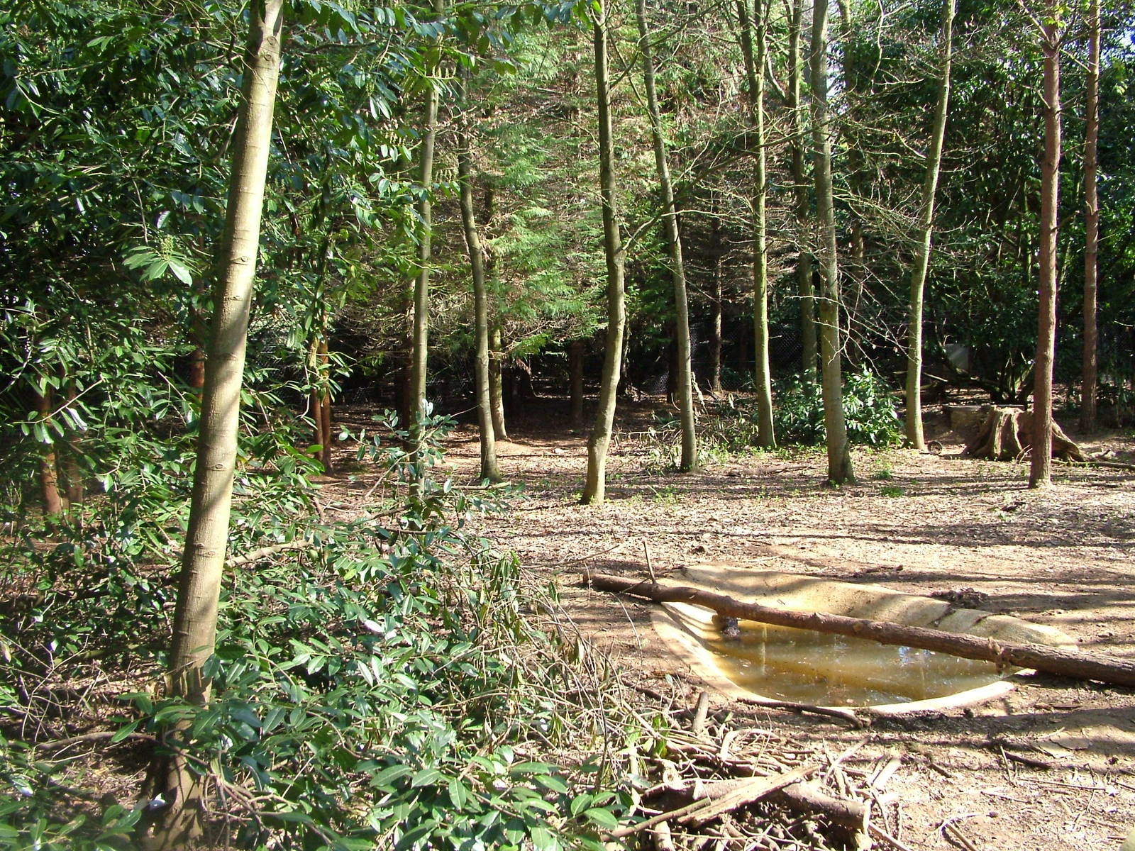 Wolverine exhibit at Cotswold WP 17/04/10