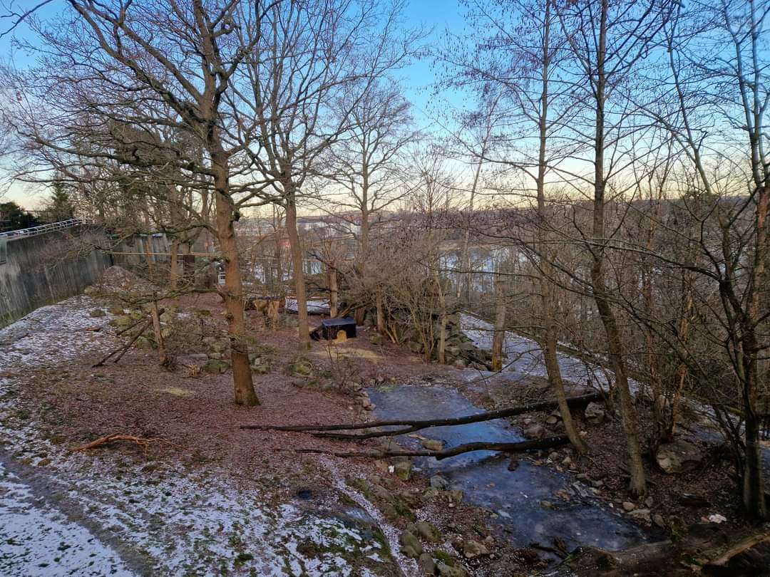 Wolverine exhibit, former Wolf's exhibit