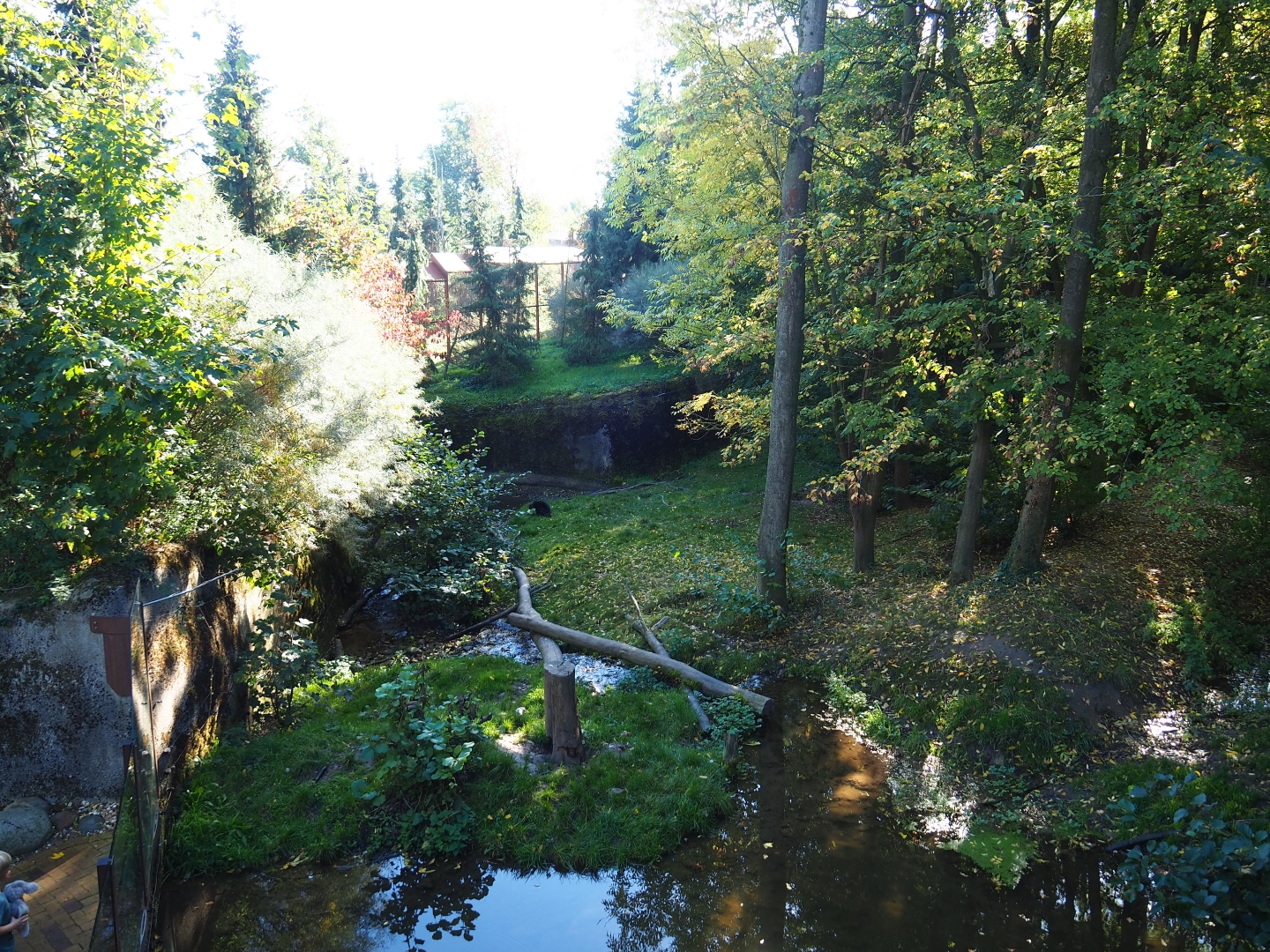 Wolverine exhibit (Oct 13th, 2018)