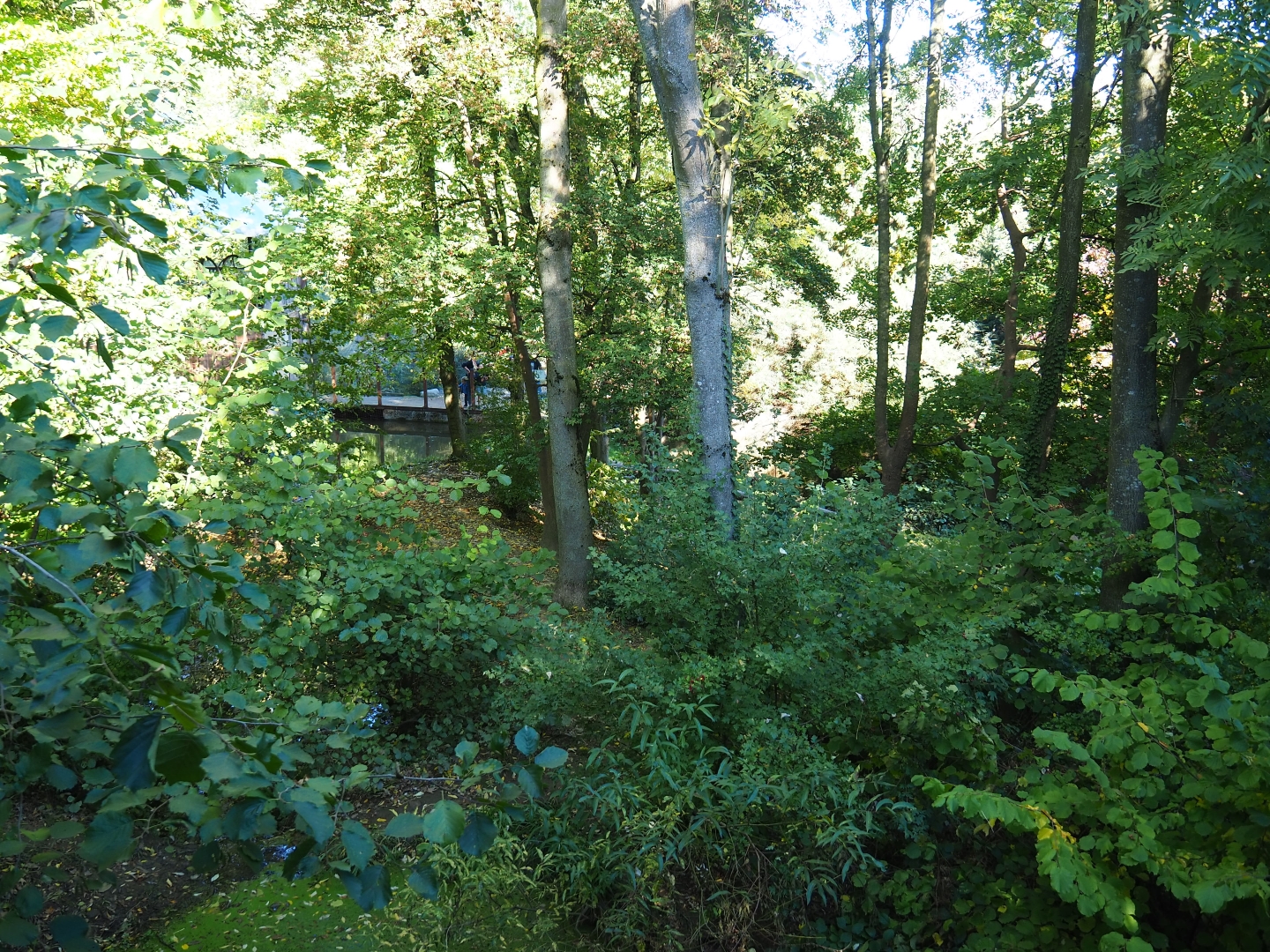 Wolverine exhibit (Oct 13th, 2018)