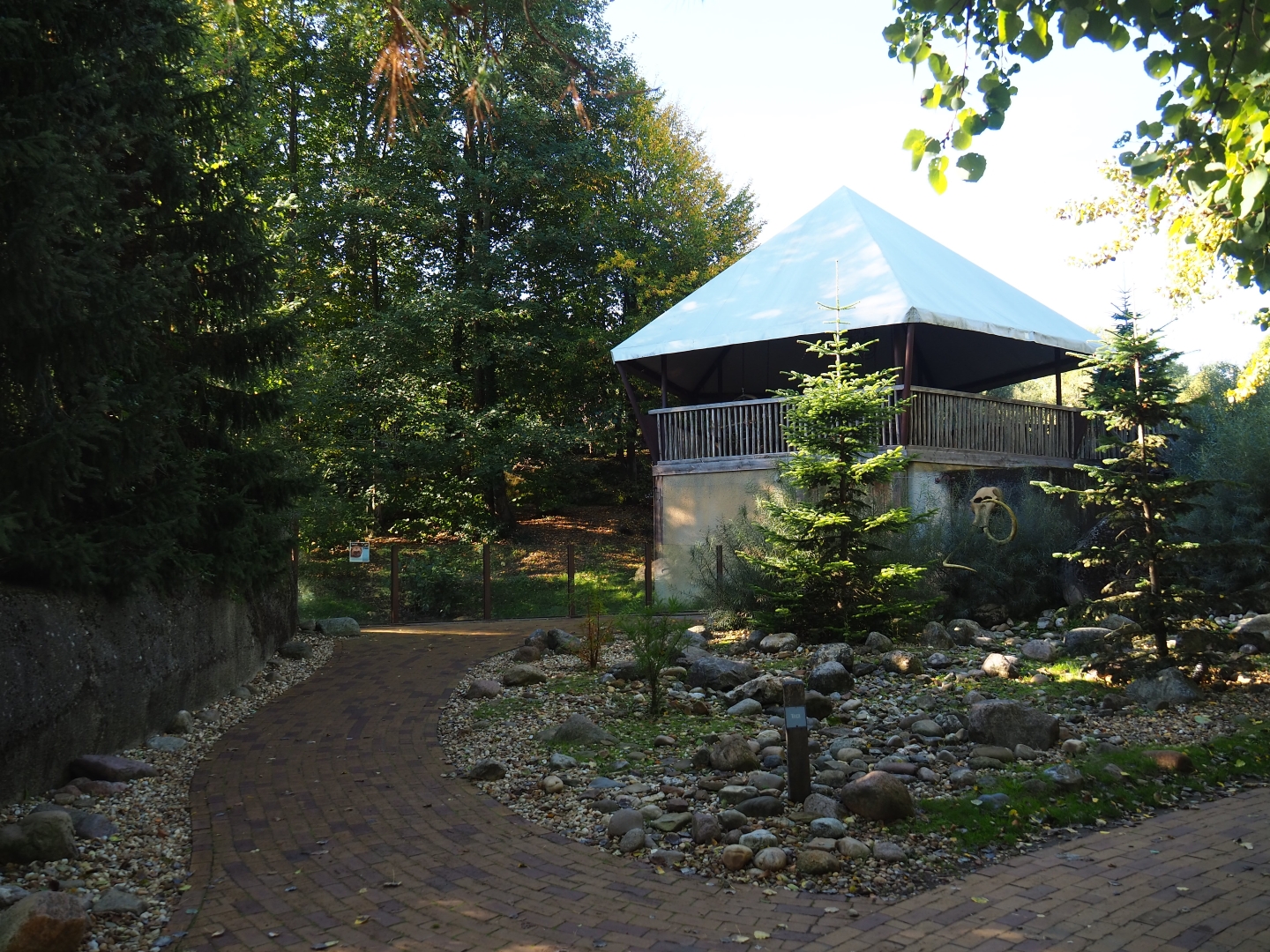 Wolverine exhibit viewing areas (Oct 13th, 2013)