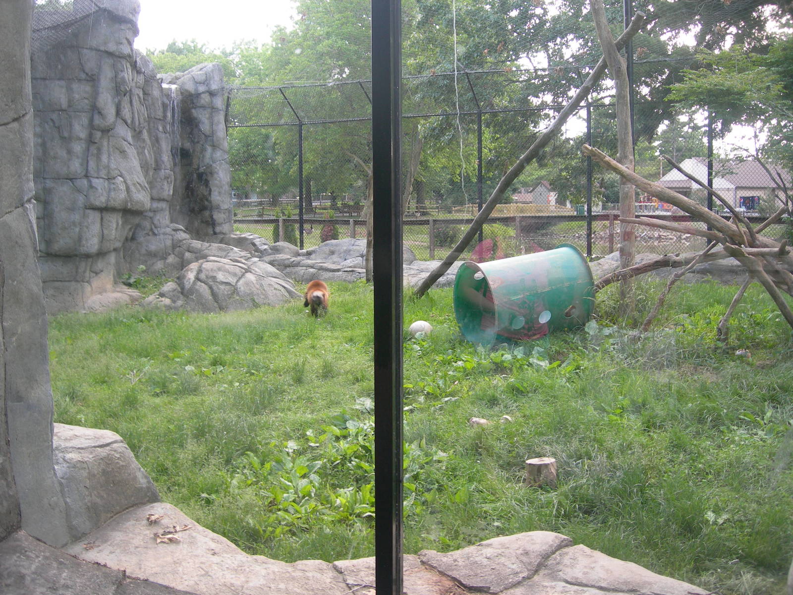 Wolverine Exhibit