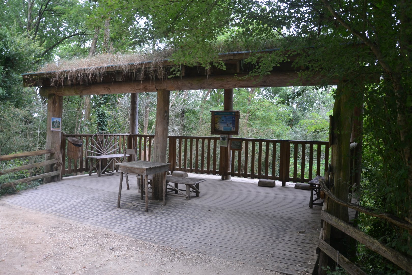 Wolverine exhibition viewing area