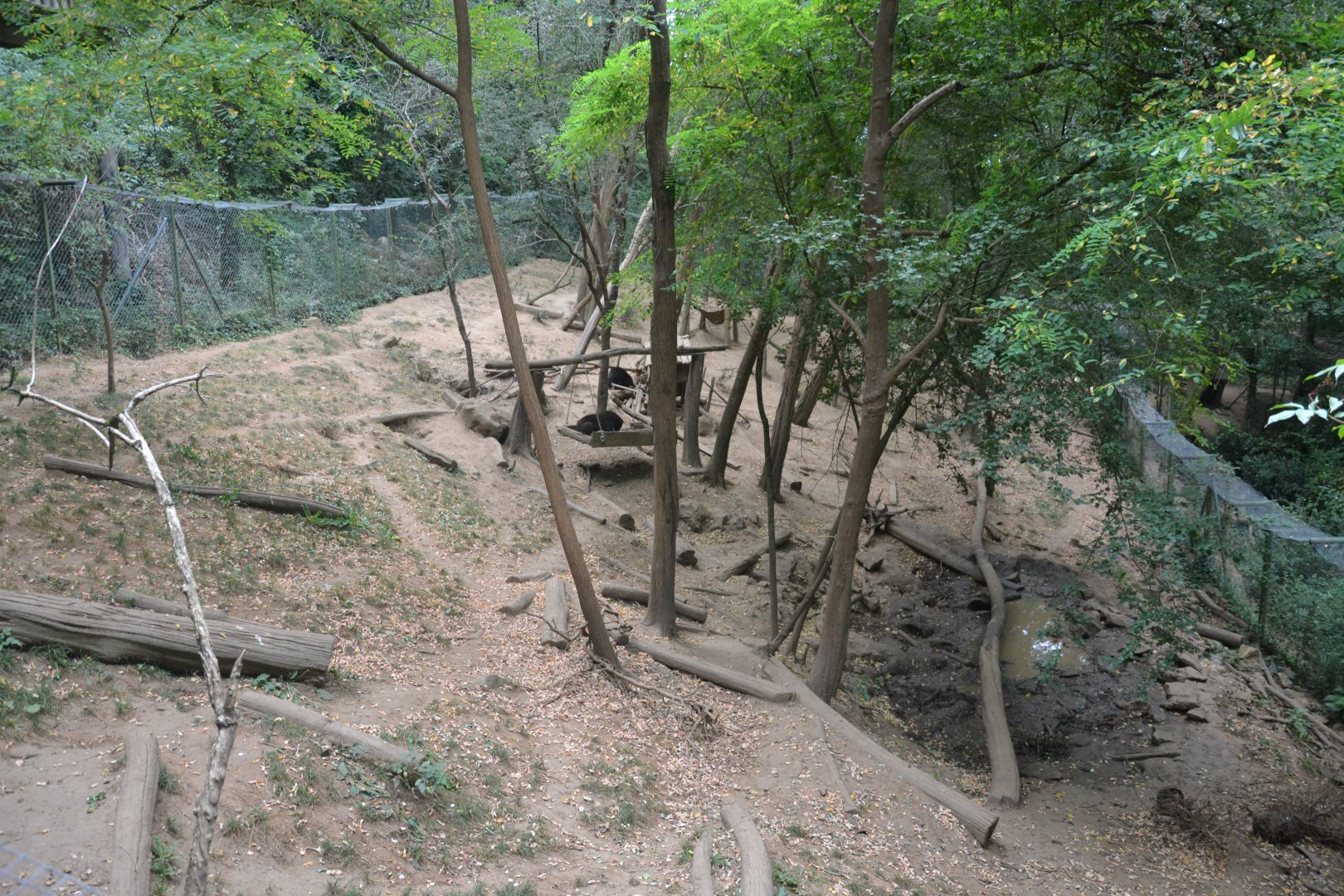 Wolverine exhibition