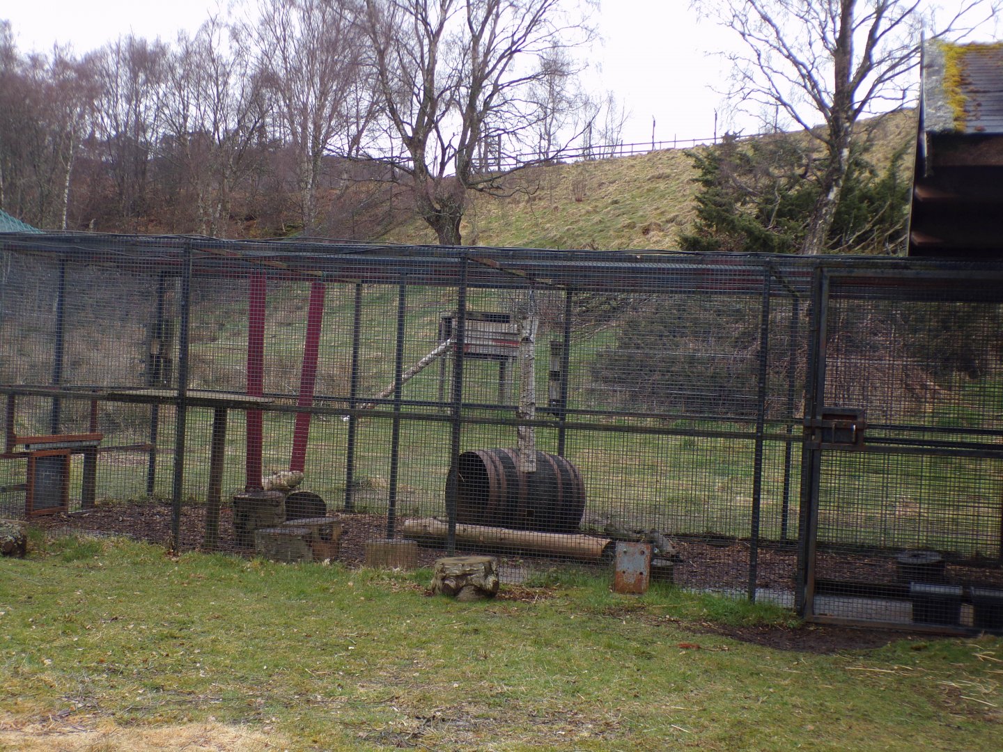 Wolverine holding area 5.4.24