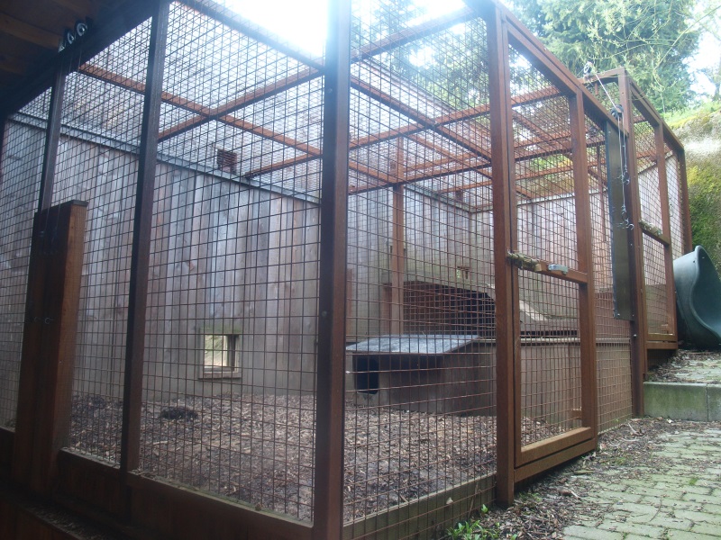 Wolverine holding area (May 2nd, 2015)