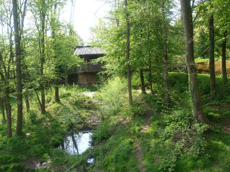 Wolverine (May 2nd, 2015)