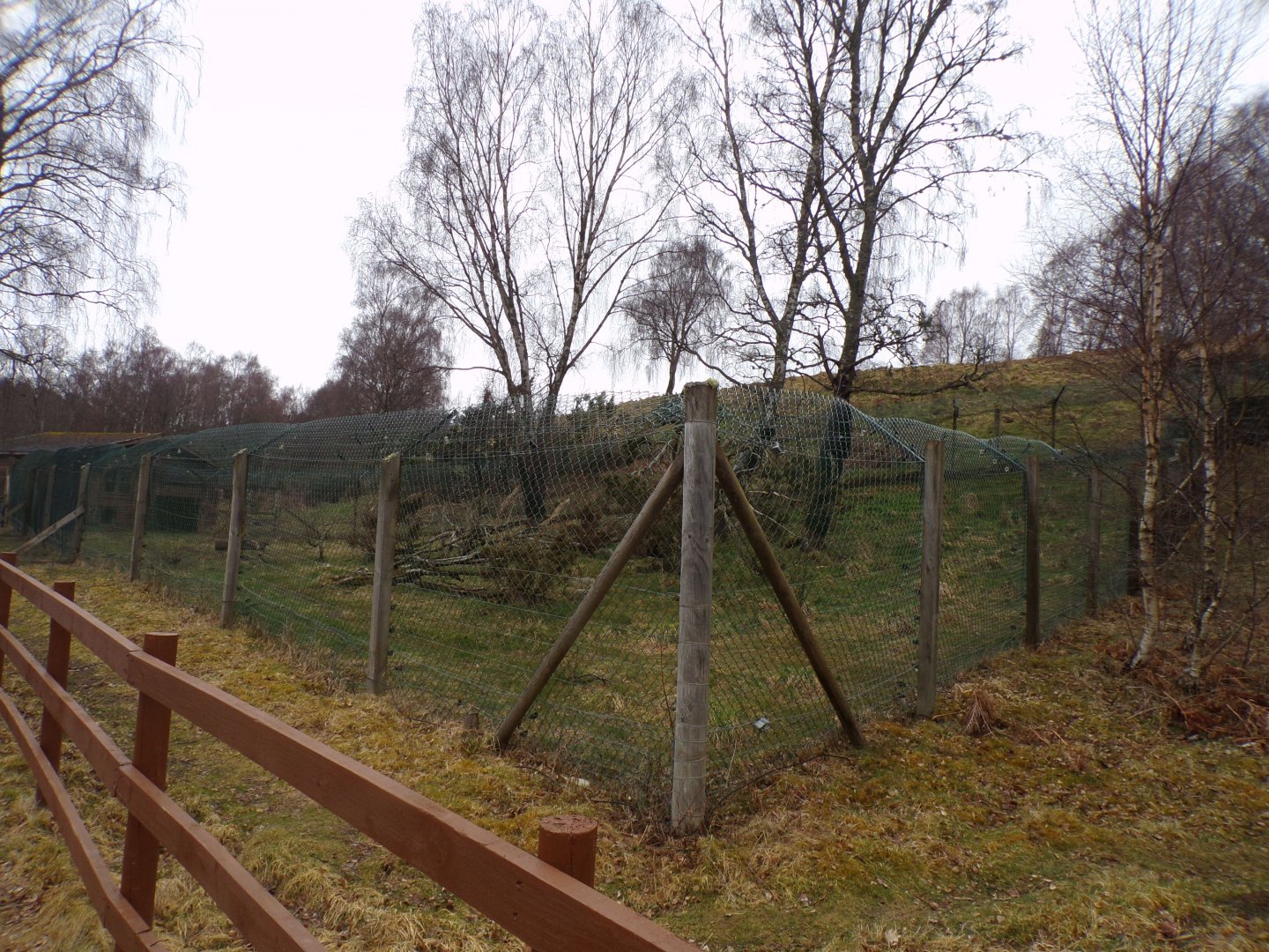 Wolverine separation enclosure 5.4.24