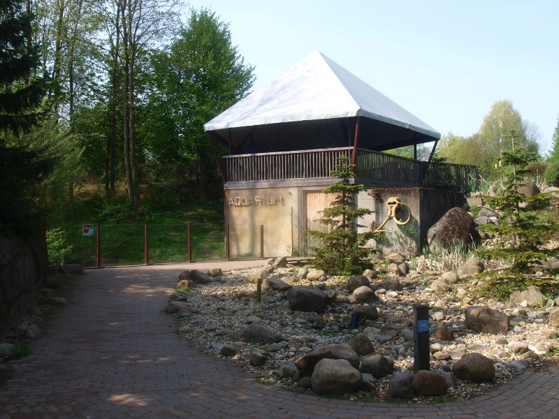 Wolverine shelter (May 2nd, 2015)