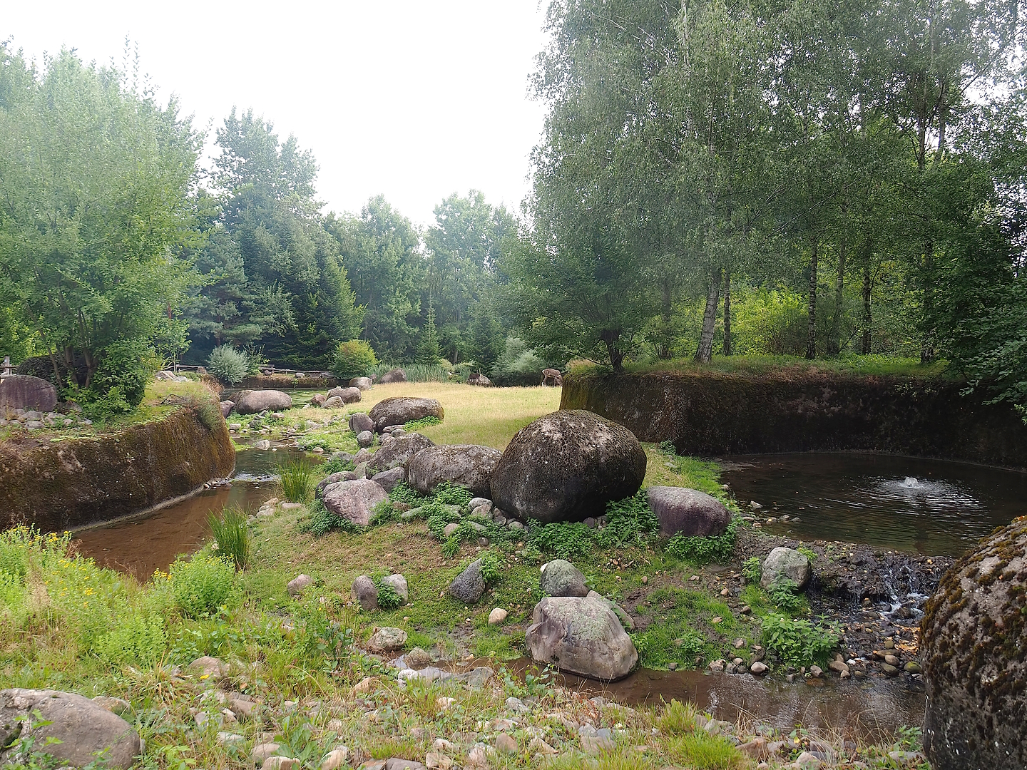 Wolverine-side part of the Eurasian forest reindeer exhibit (Former musk ox exhibit), 2022-08-20