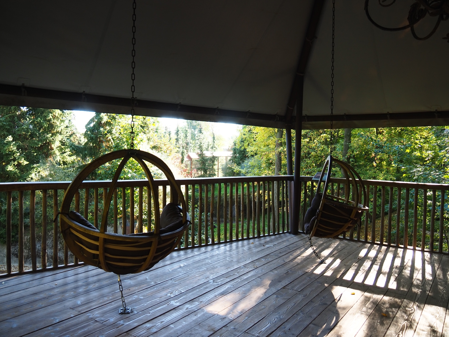 Wolverine viewing area (Oct 13th, 2018)