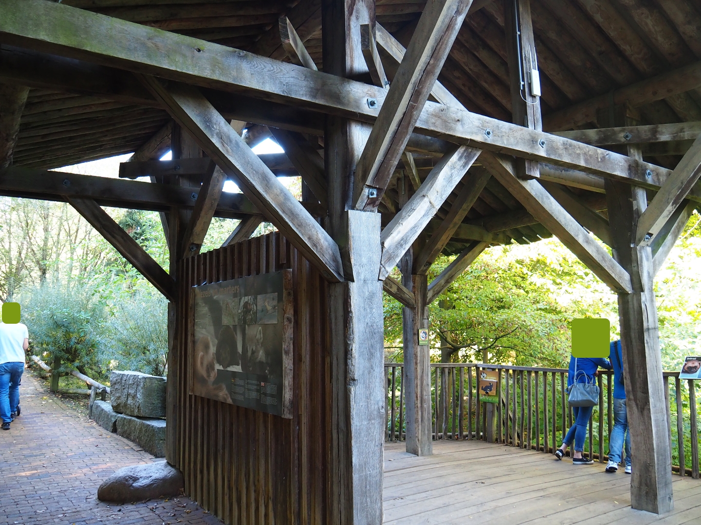 Wolverine viewing area (Oct 13th, 2018)