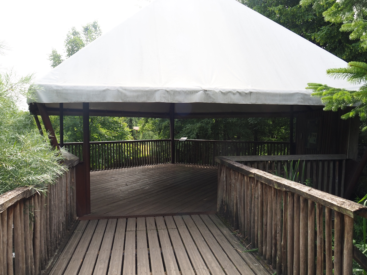 Wolverine viewing shelter, 2023-07-18