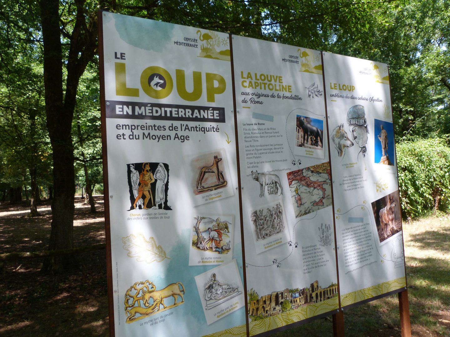 Wolves in the Mediterranean signs -Zoodyssée (2025)