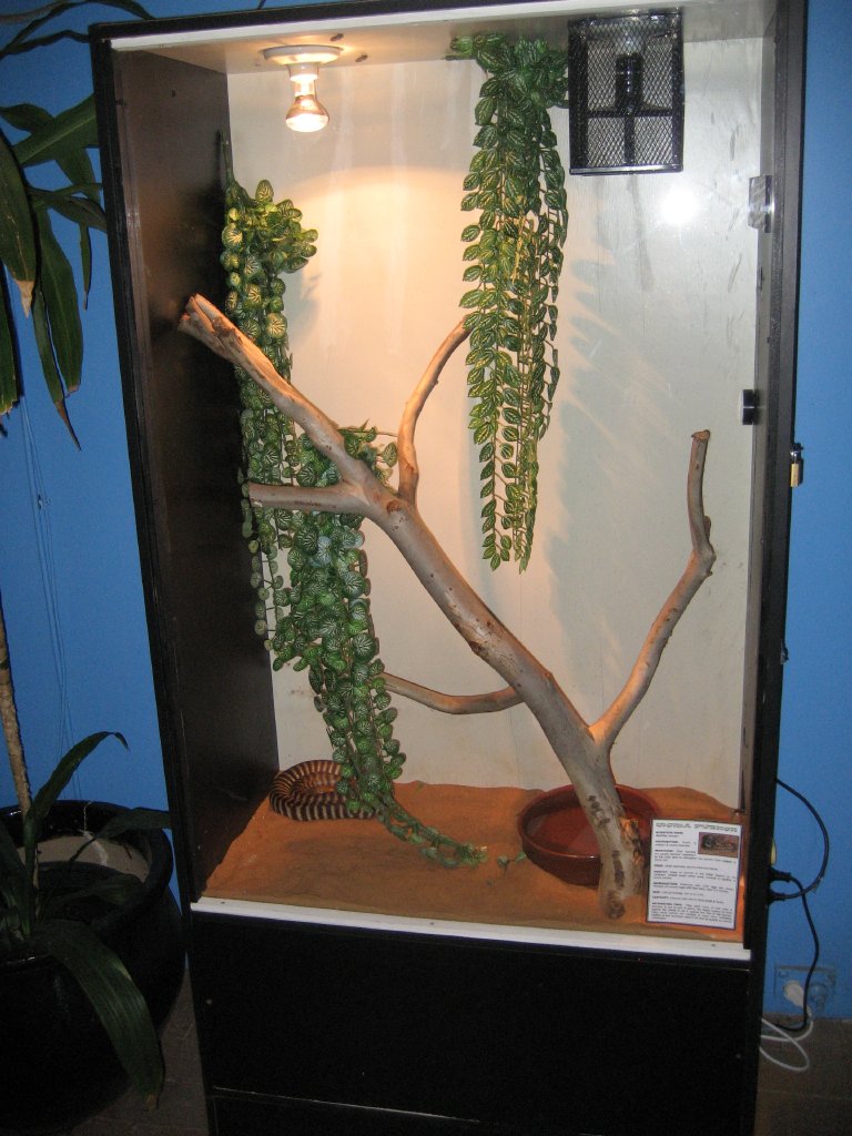 Woma tank