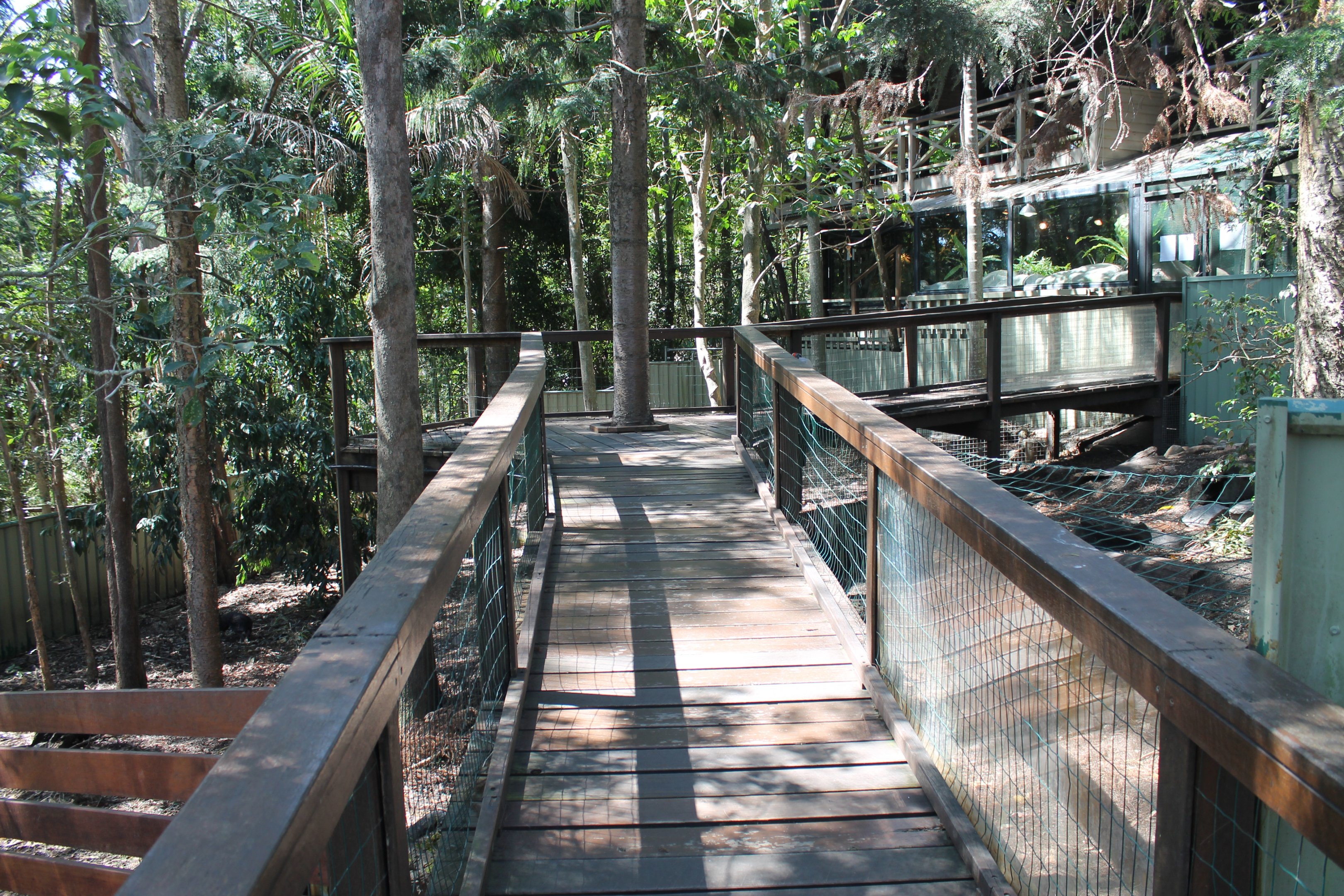 wombat and pademelon enclosures
