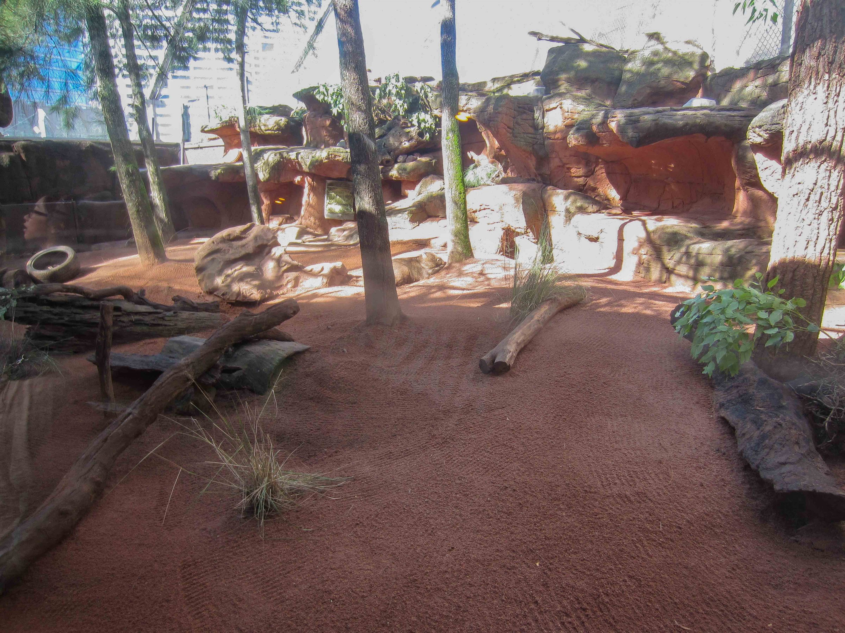 Wombat and Rock Wallaby enclosures