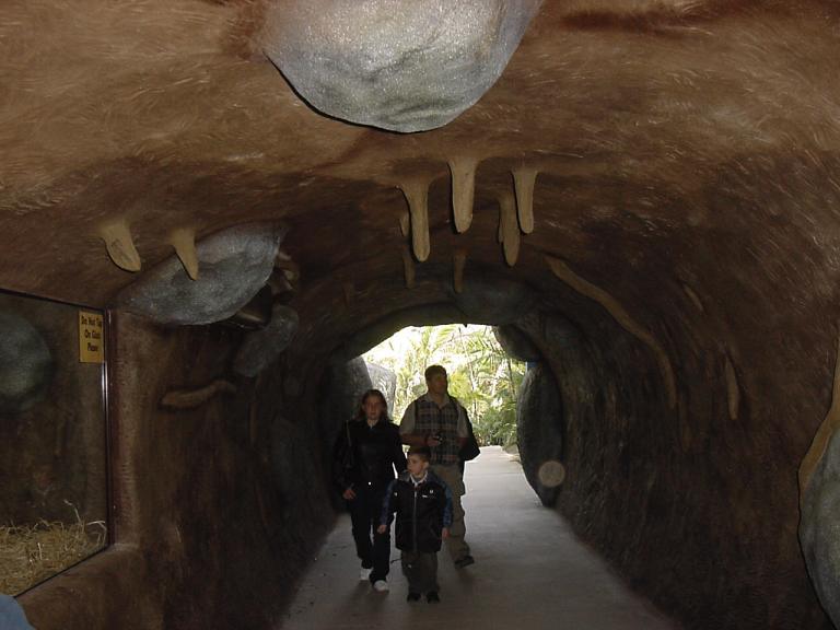Wombat burrow, Australia Zoo