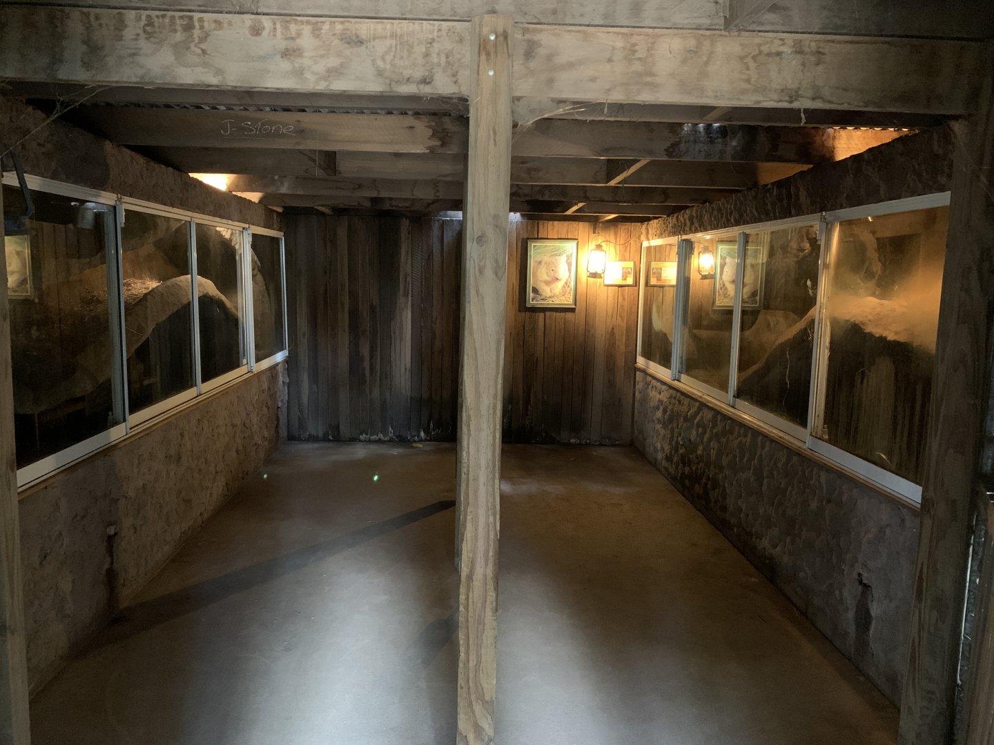 Wombat Burrow Viewing