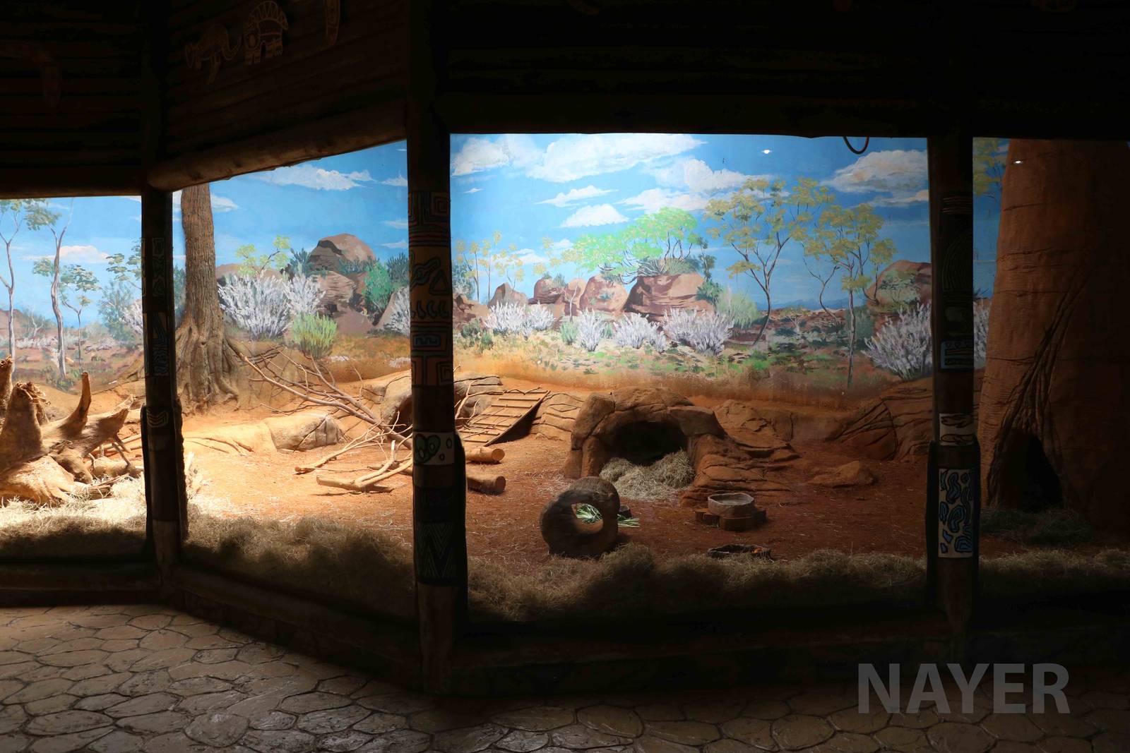 Wombat enclosure, April 2016