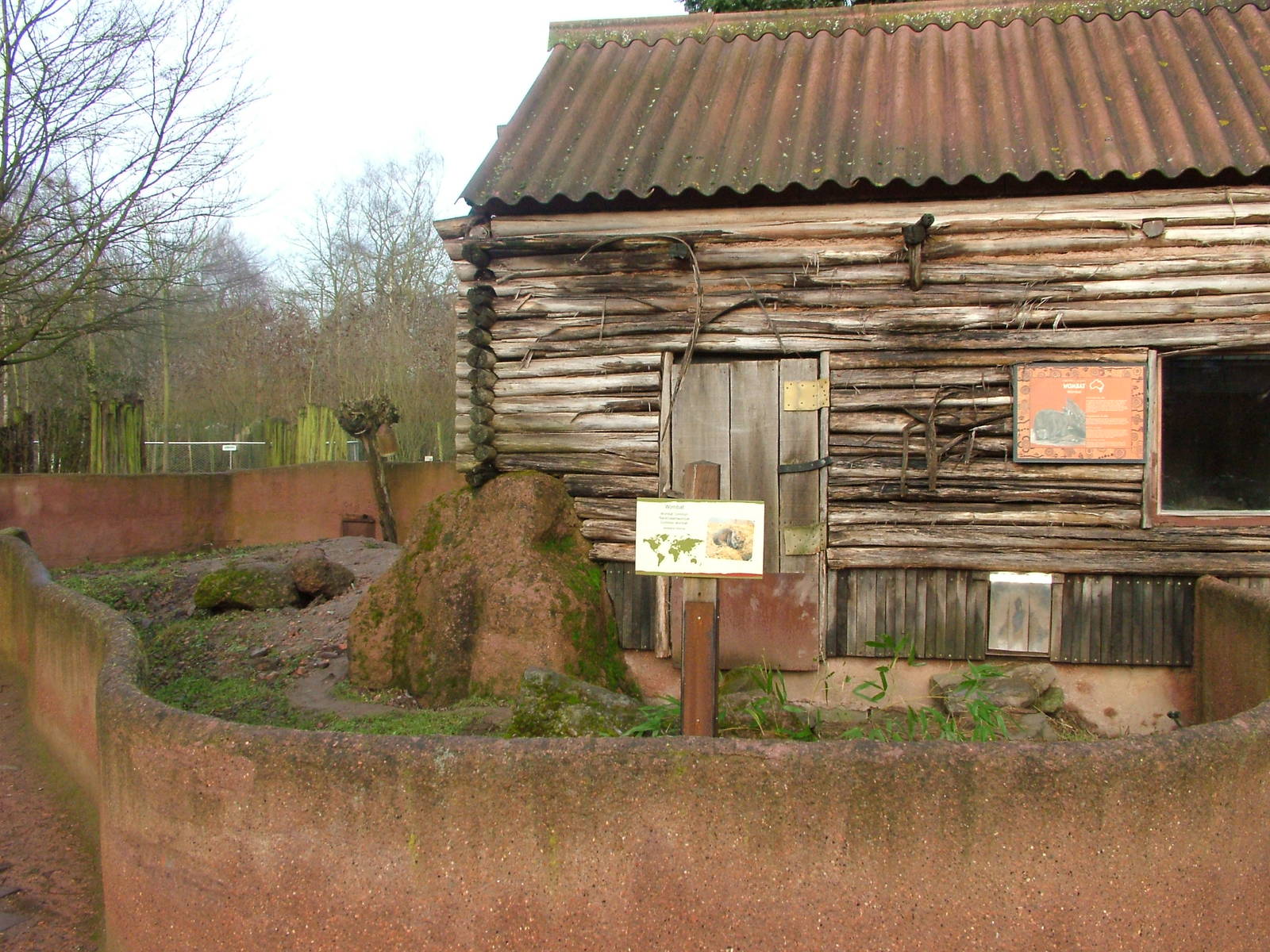 Wombat enclosure at Planckendael Jan 09