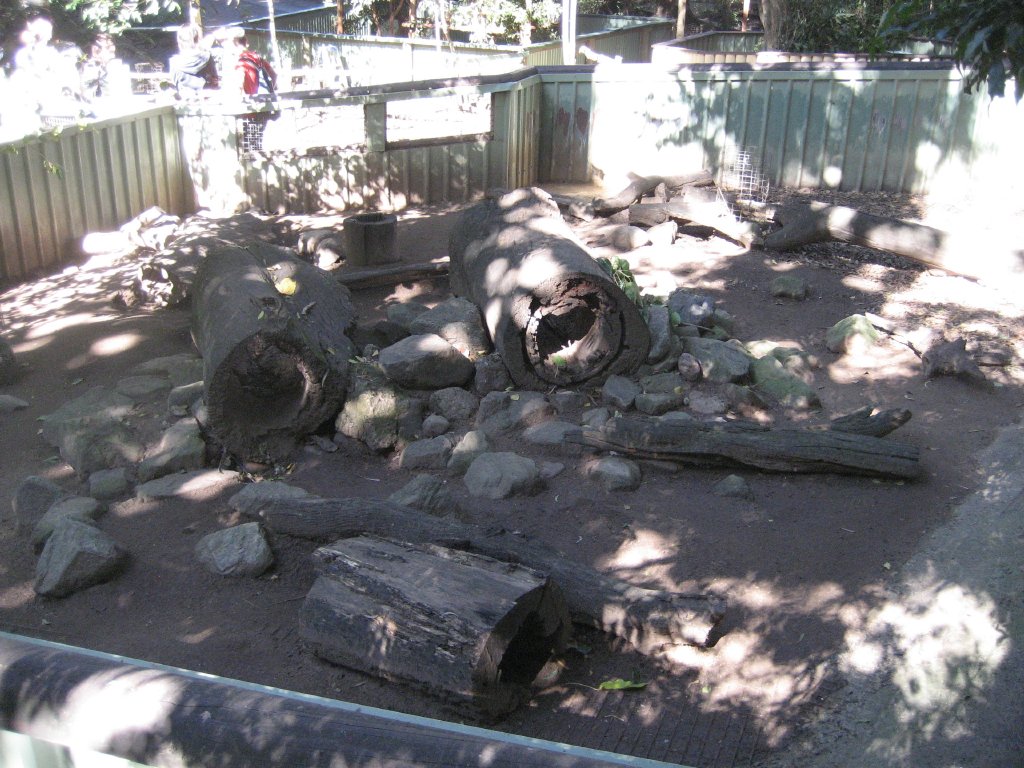 Wombat enclosure