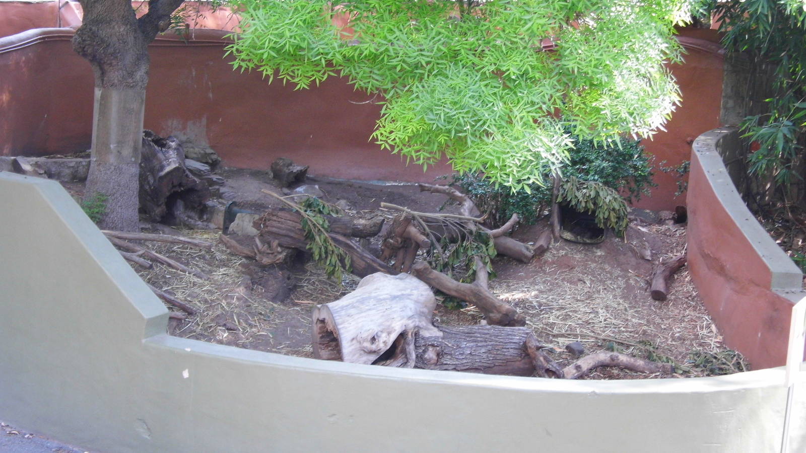 Wombat Enclosure