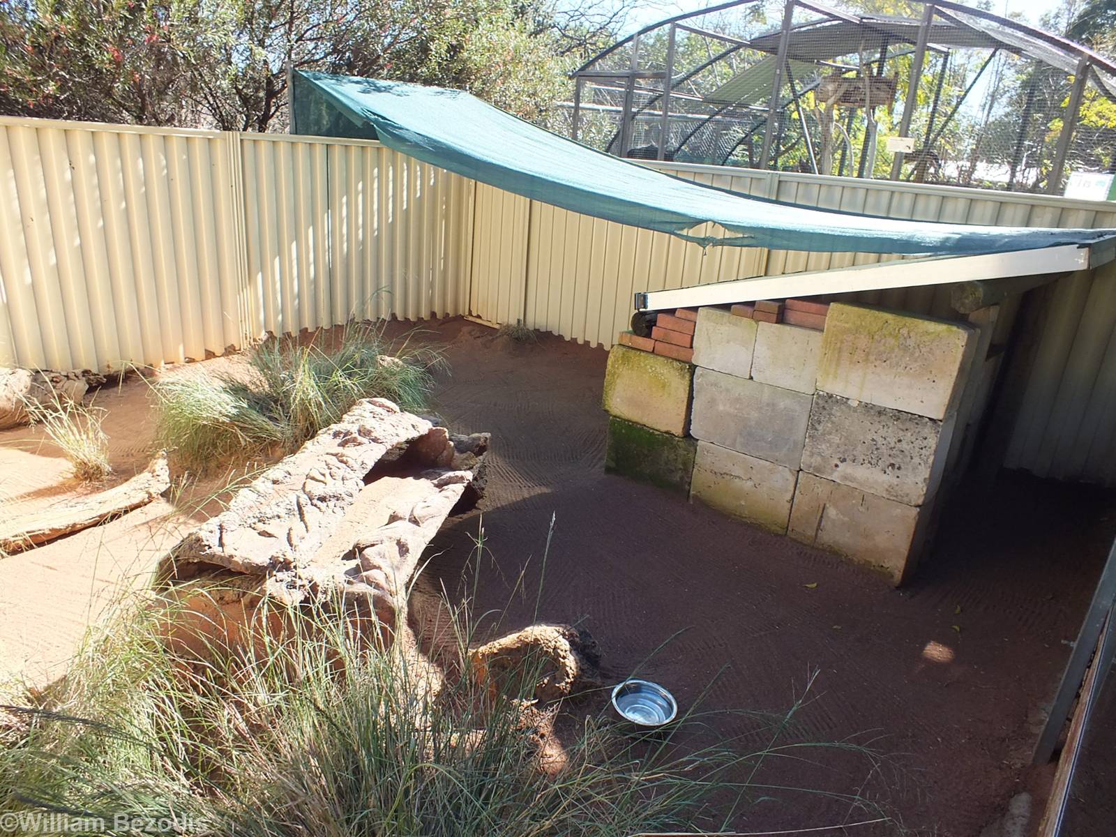 Wombat Enclosure