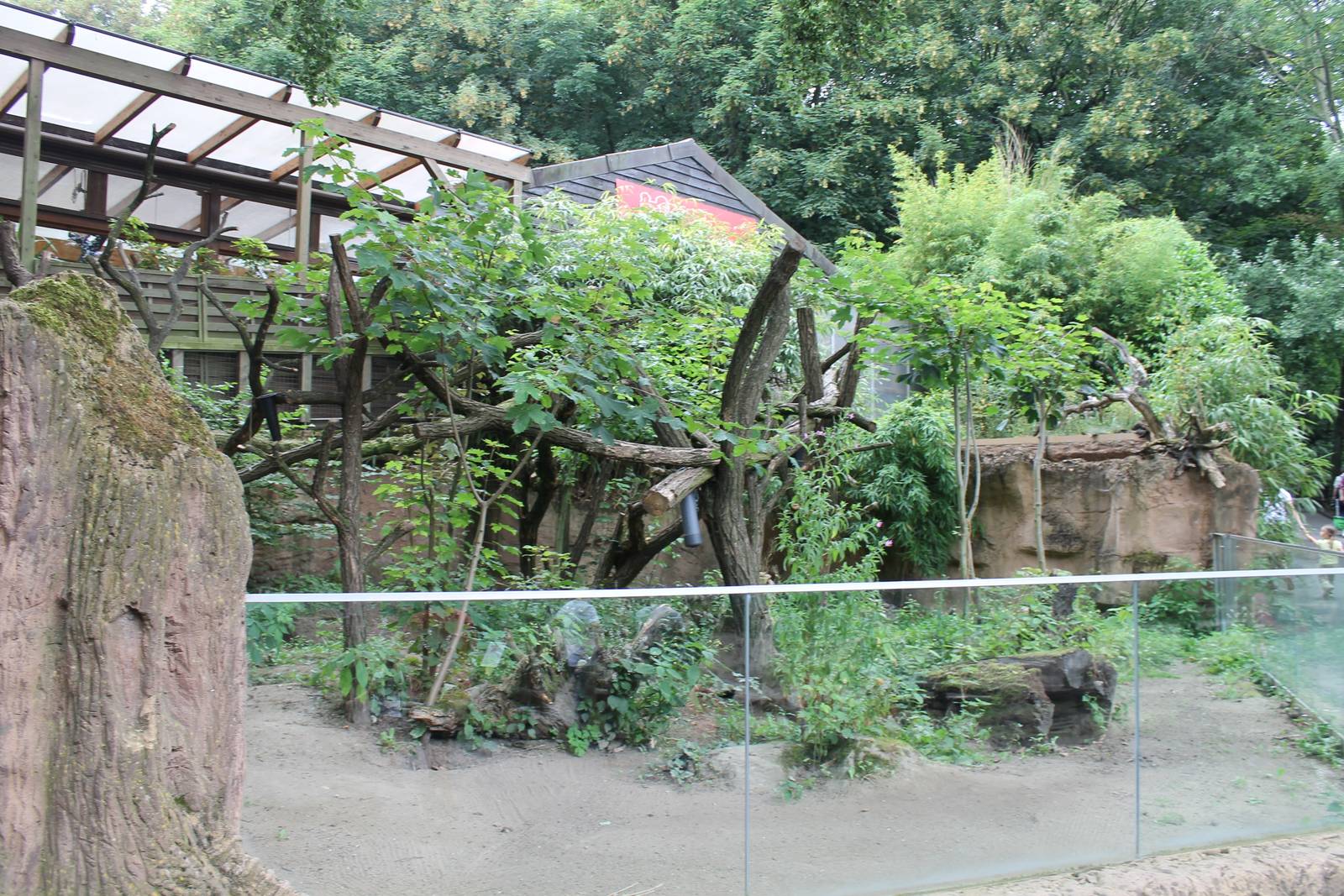 Wombat enclosure