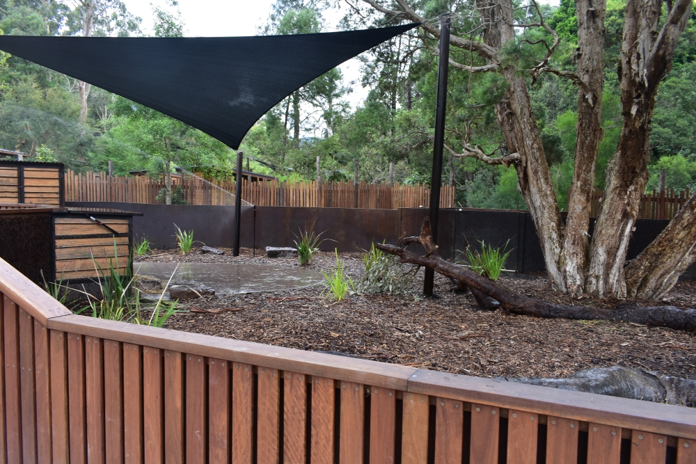 Wombat Enclosure