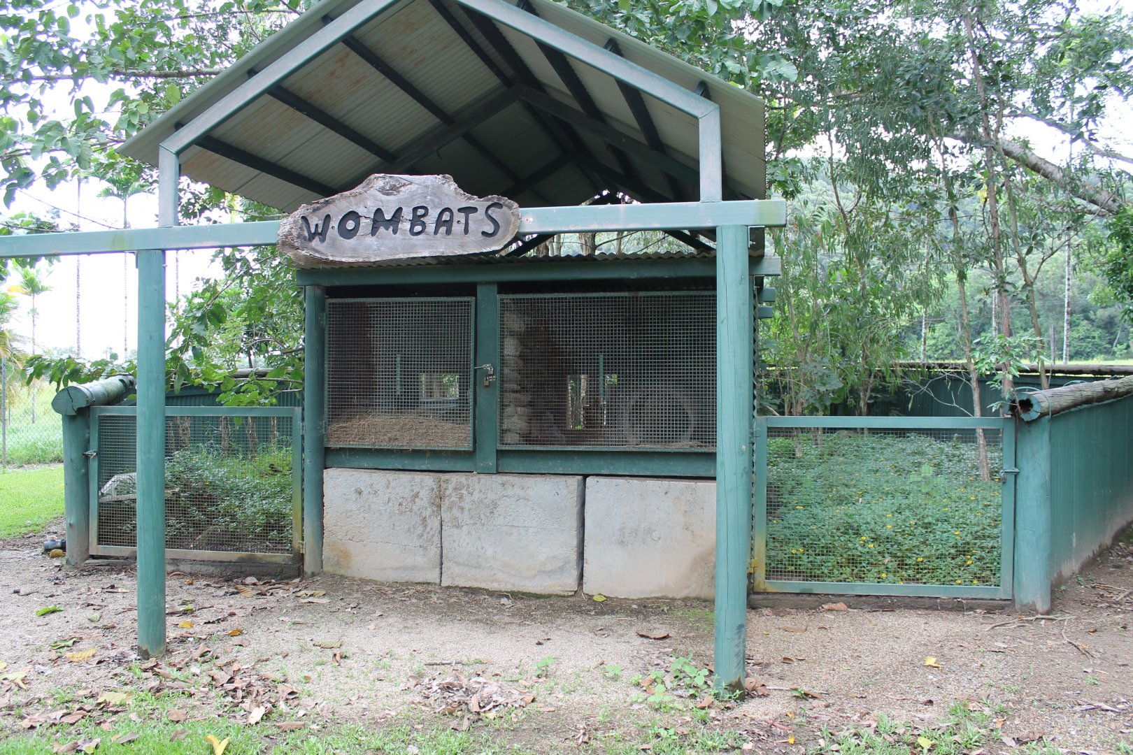 Wombat enclosure