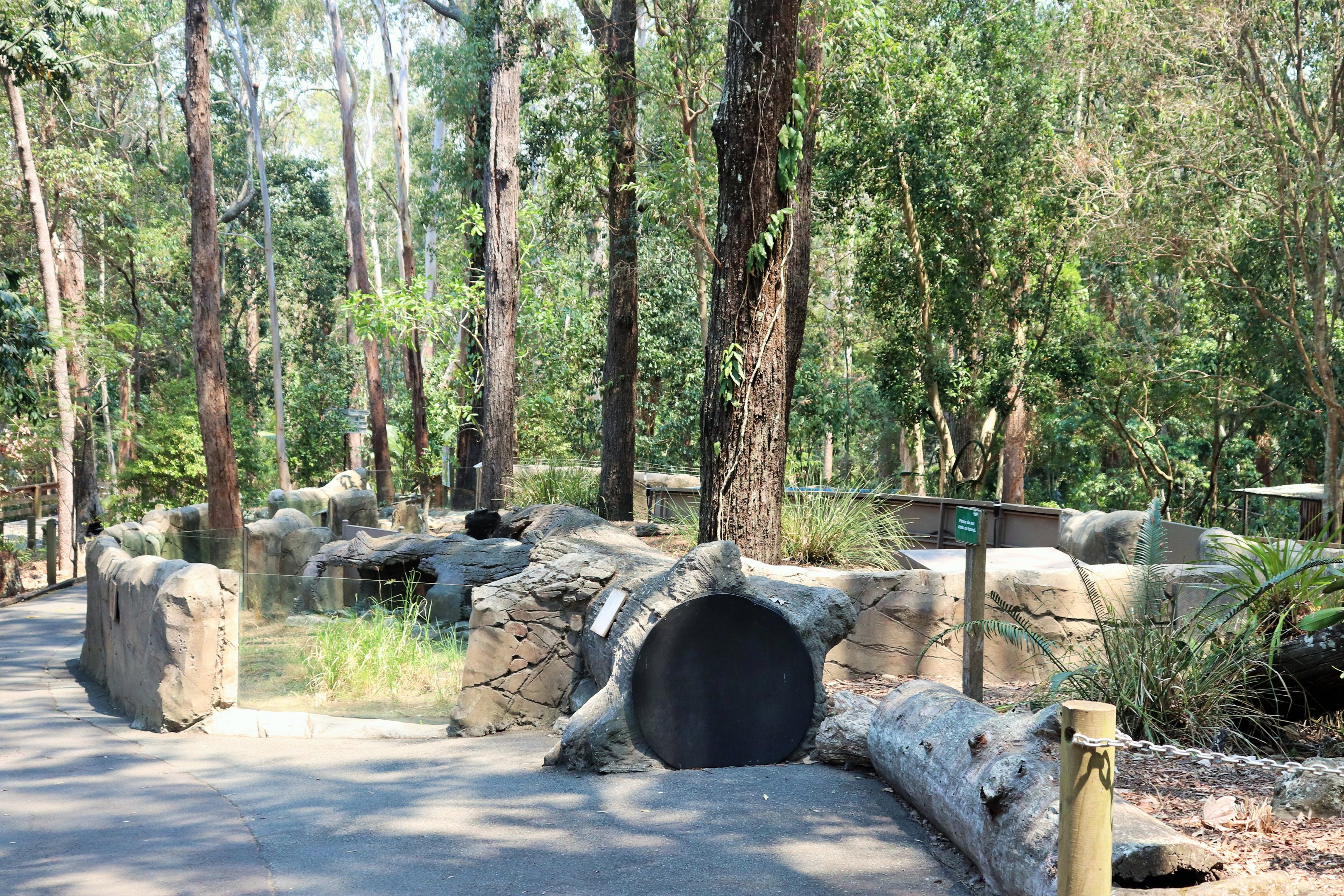 Wombat Enclosure