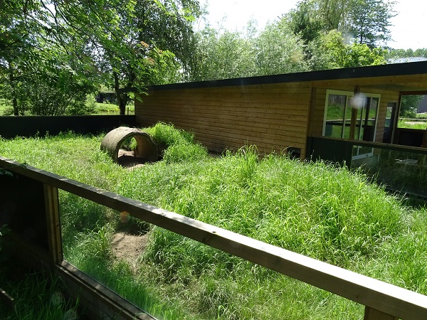 Wombat enclosure