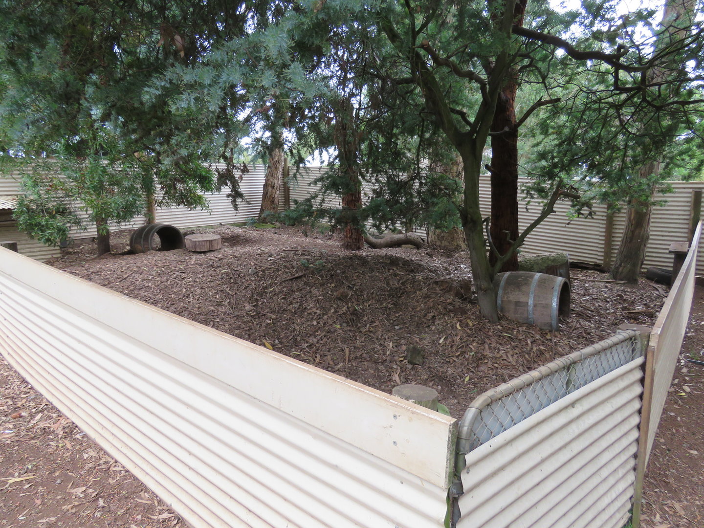 Wombat Enclosure